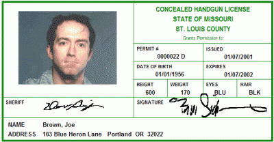 sample CCW license