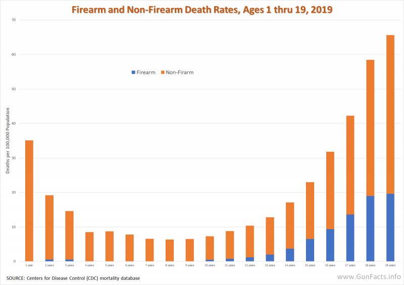 Firearm and Non-Firearm Death Rates, Ages 1 thru 19, 2019