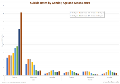AVAILABILITY OF GUNS - Suicide rates by age, means and gender 2019
