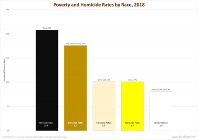 Poverty and Homicide Rates by Race - 2018