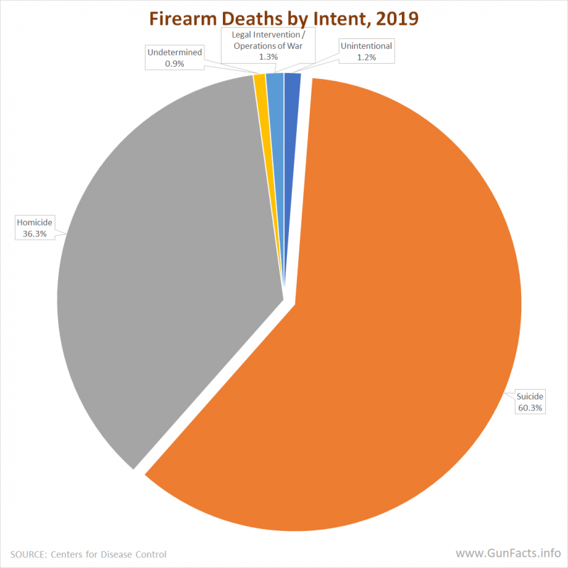 Firearm Deaths by Intent 2019