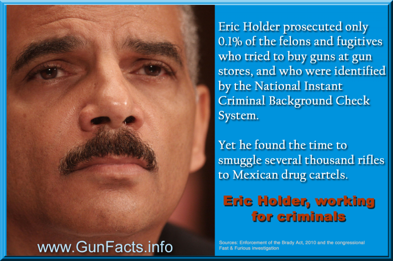holdernicsmexico Gun Facts