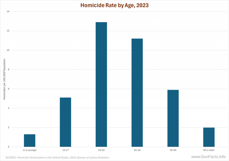 Homicide Rate by Age 2023 | Gun Facts