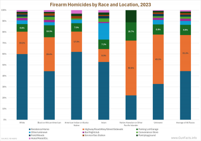 Firearm Homicides by Race and Location, 2023