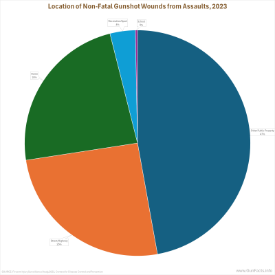 Location of Non-Fatal Gunshot Wounds from Assaults, 2023